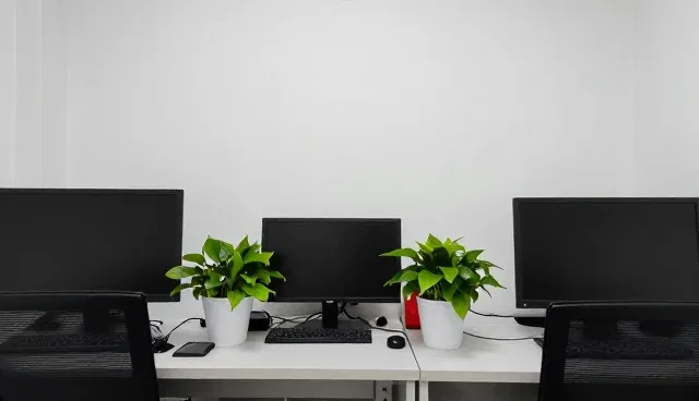 软件生命周期管理中技术培训的关键应用场景分析